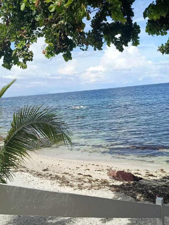 Photo of Others in Oslob