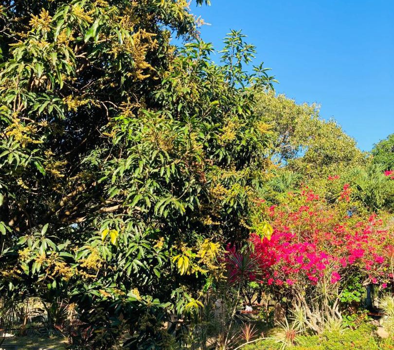 Photo of Outdoor in Sison