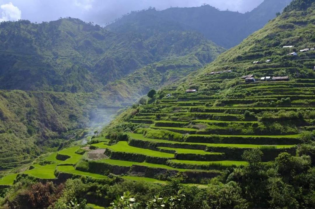 Photo of Others in Tinglayan
