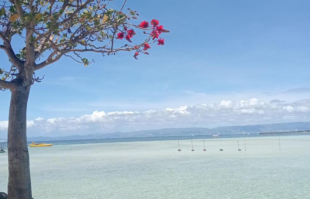 Photo of Others in Cebu