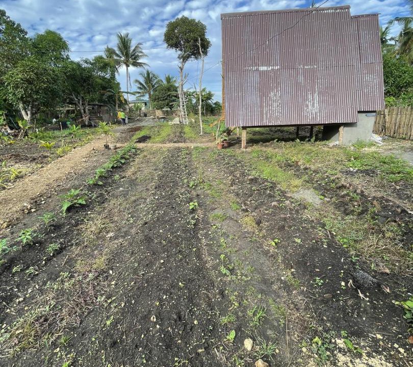 Photo of Others in Batuan