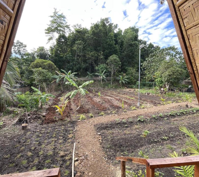 Photo of Others in Batuan