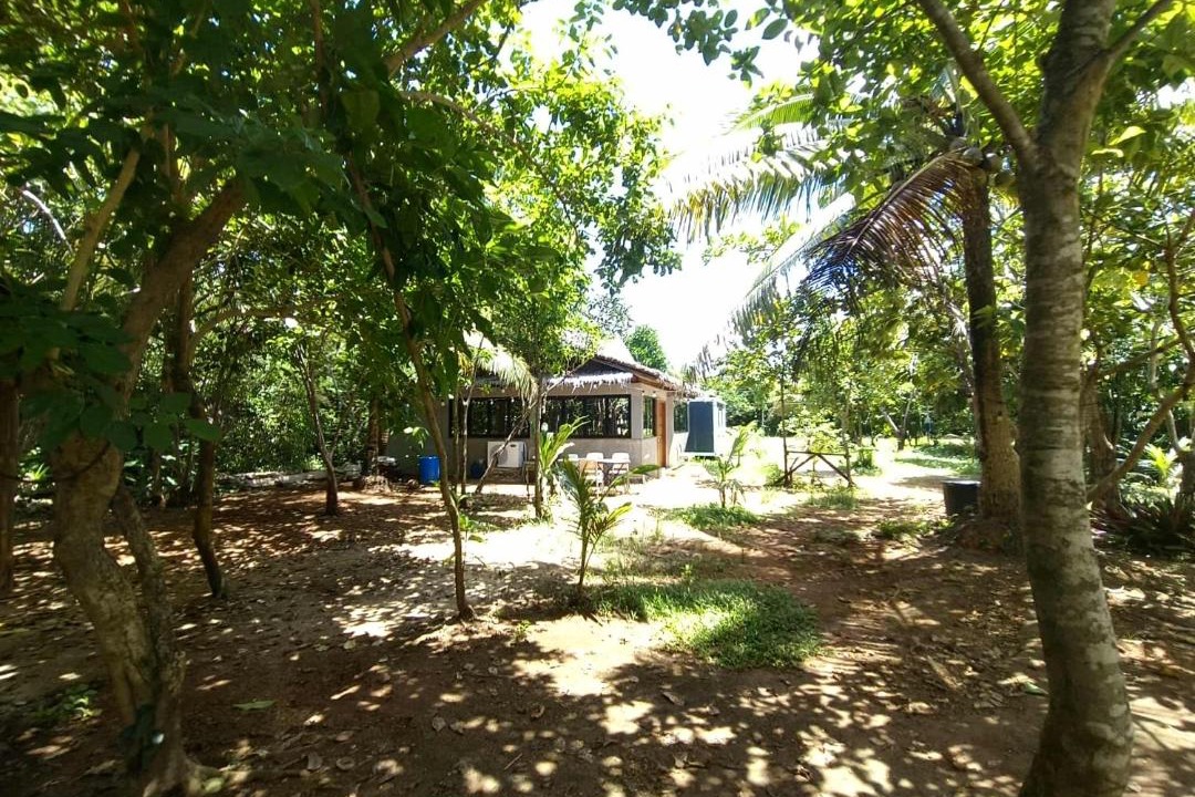 Photo of Others in Guiuan