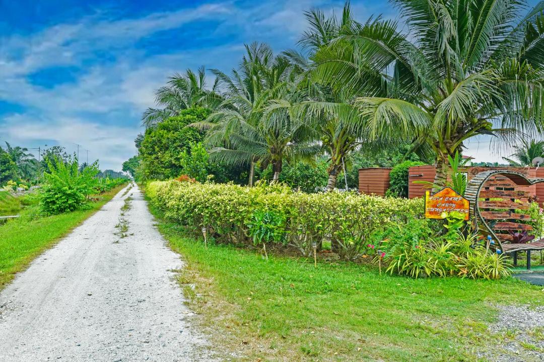Photo of Others in Sekinchan