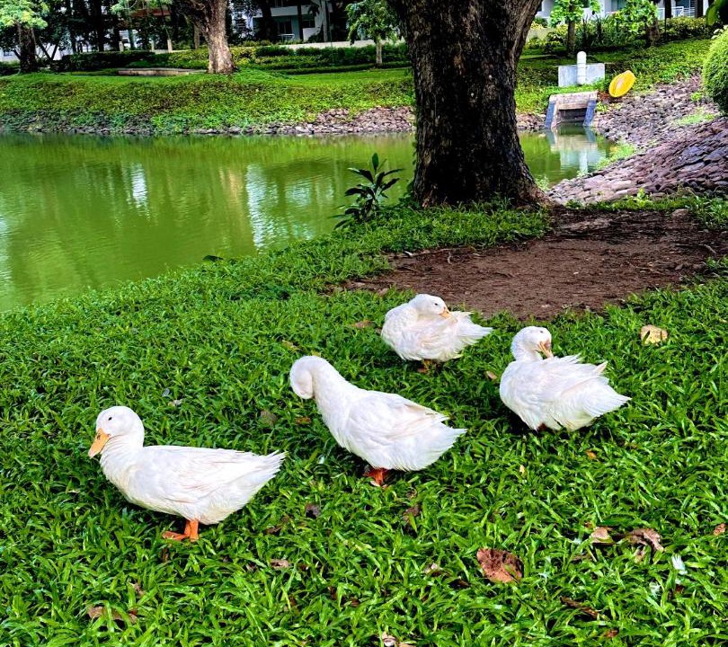 Photo of Others in Nasugbu