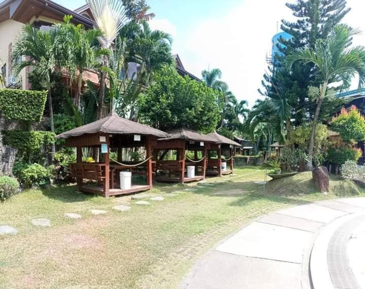 Photo of Others in Buenavista