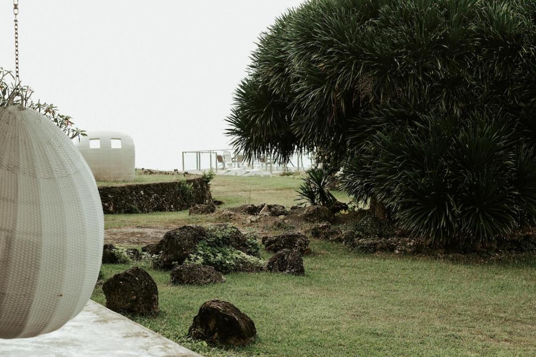Photo of Others in Barili