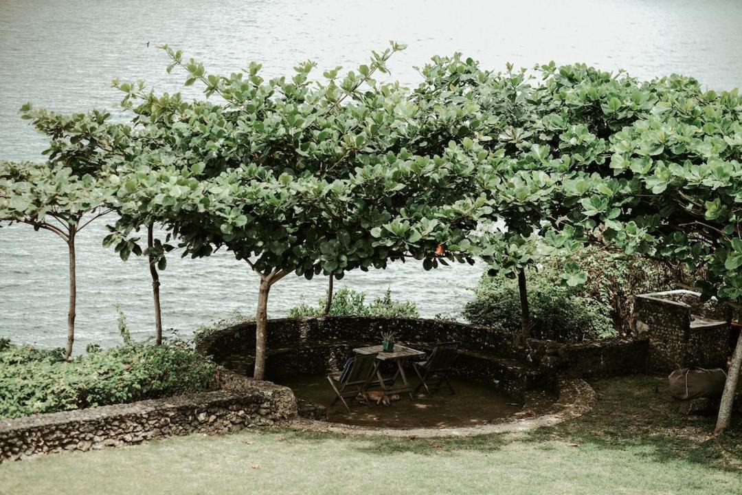 Photo of Others in Barili