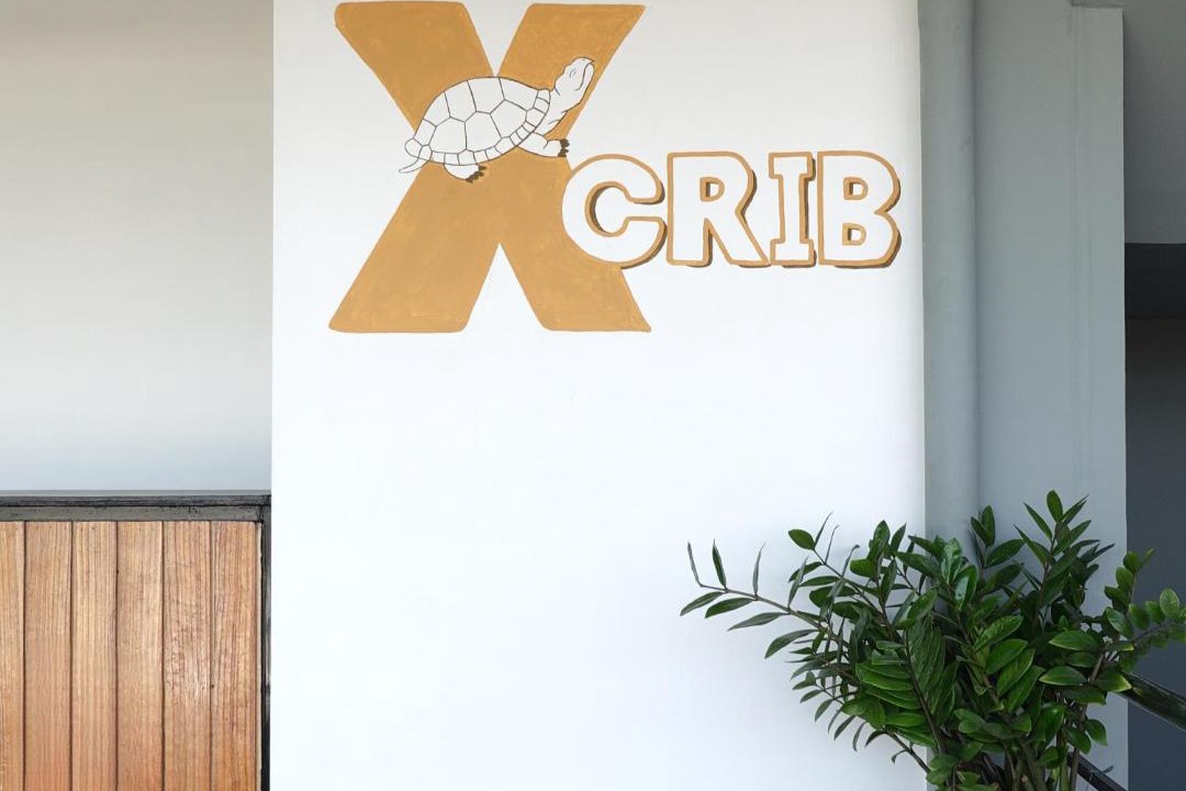 Photo of Others in Basdiot