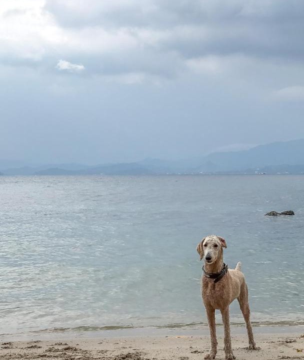 Photo of Others in Morong