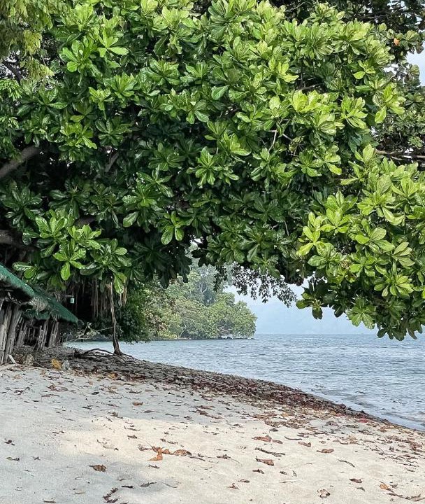 Photo of Others in Morong