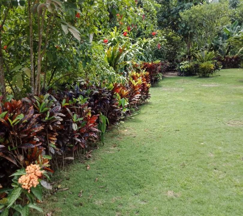 Photo of Outdoor in Calapan