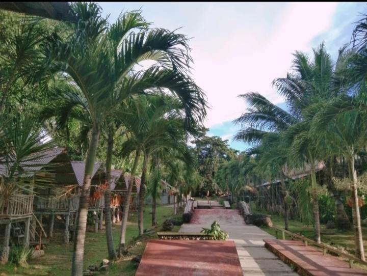 Photo of Others in Daanbantayan