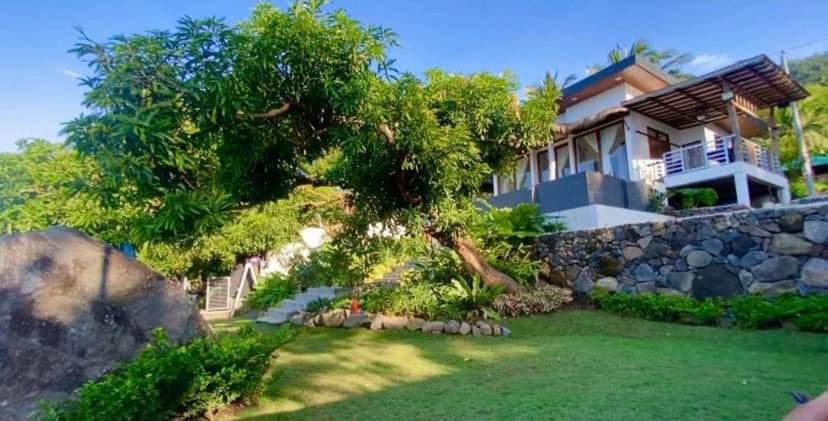 Photo of Others in Anilao