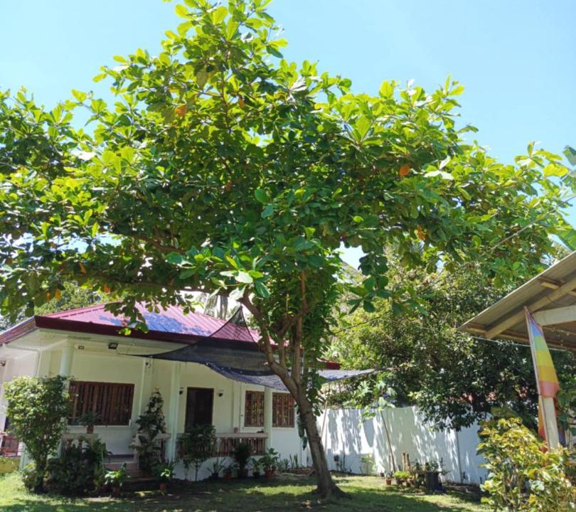 Photo of Others in Gingoog