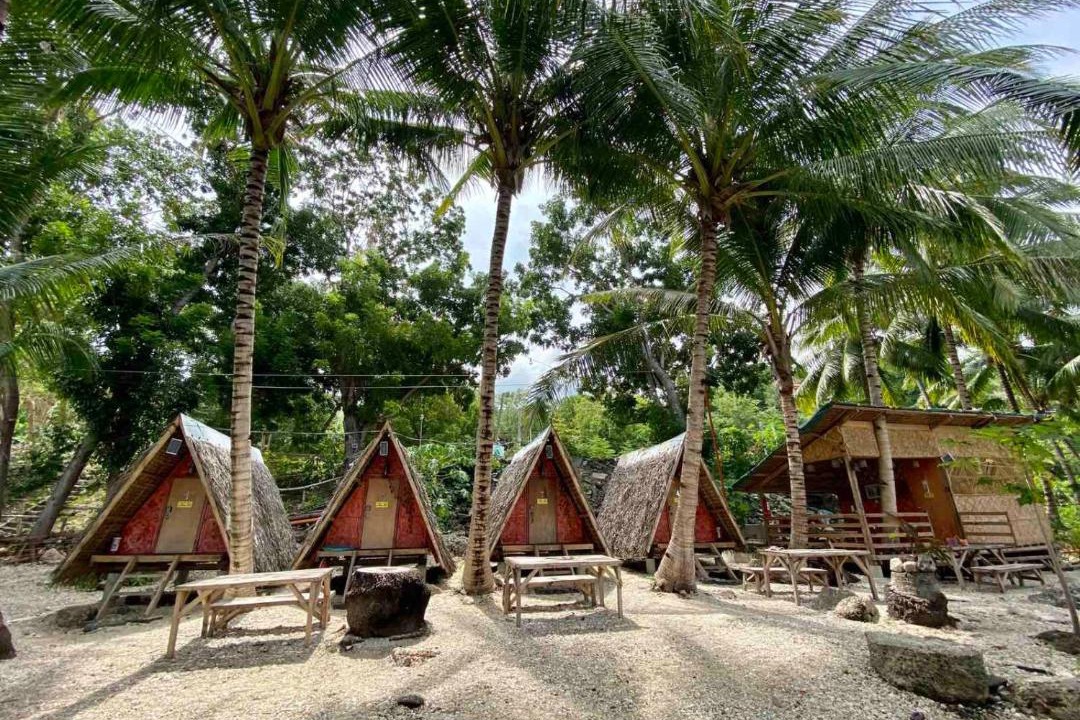 Photo of Others in Oslob