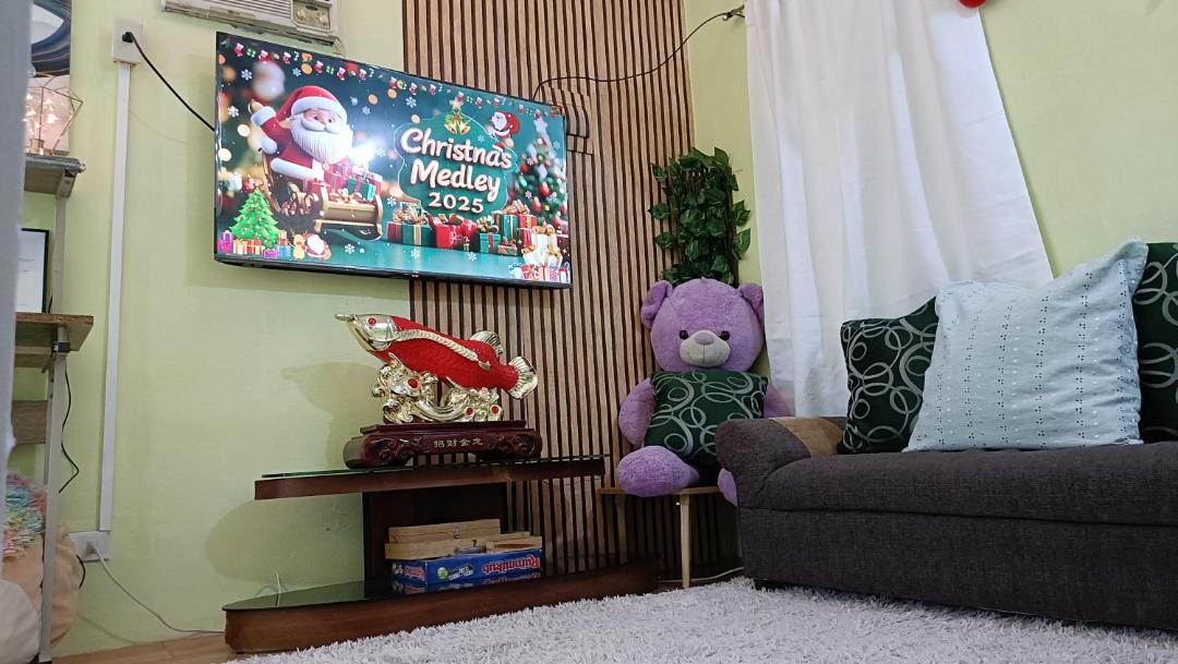 Photo of Livingroom in Santo Tomas