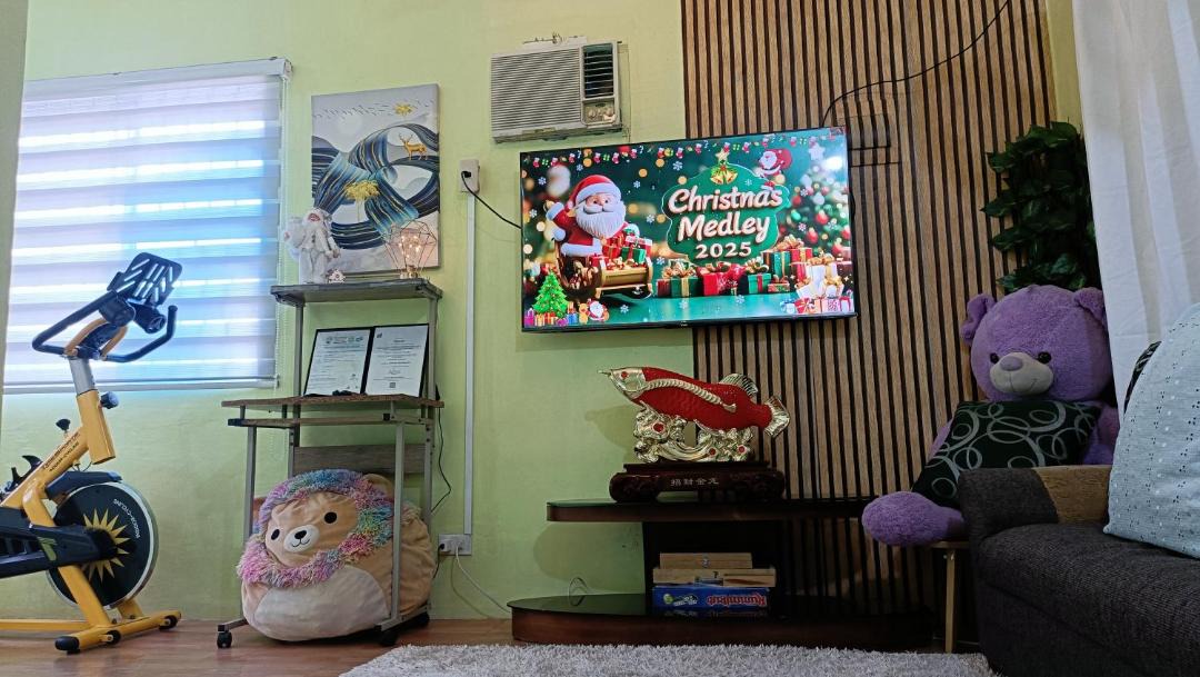 Photo of Livingroom in Santo Tomas
