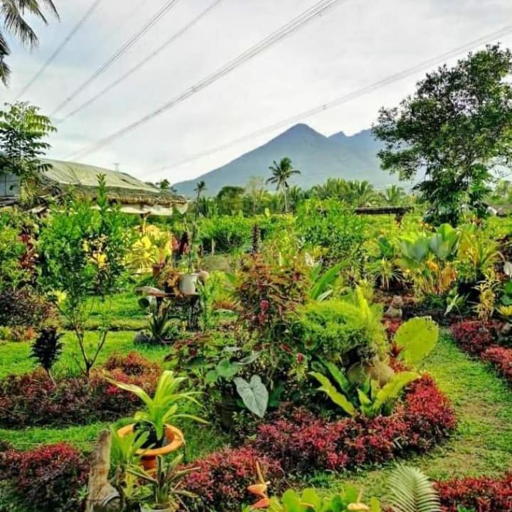Photo of Others in Lucban