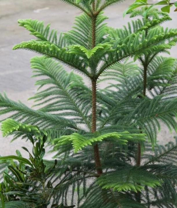 Photo of Outdoor in Clark