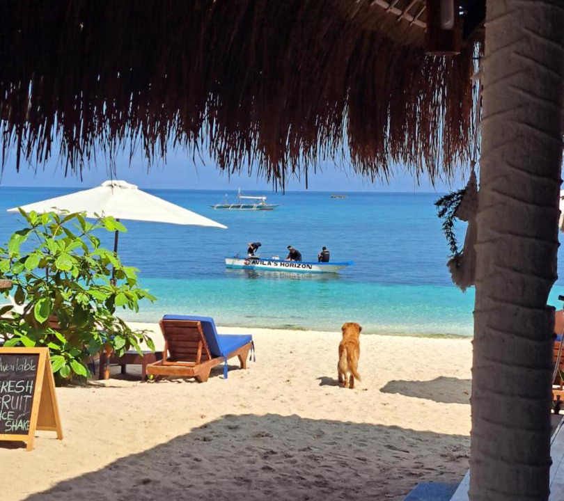 Photo of Others in Daanbantayan
