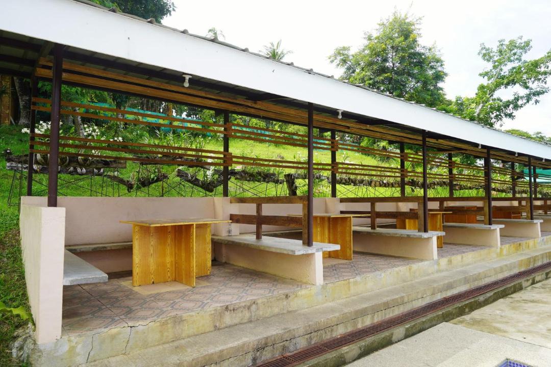 Photo of Others in Pinamungajan