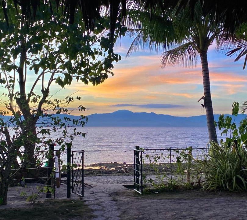 Photo of Others in Moalboal