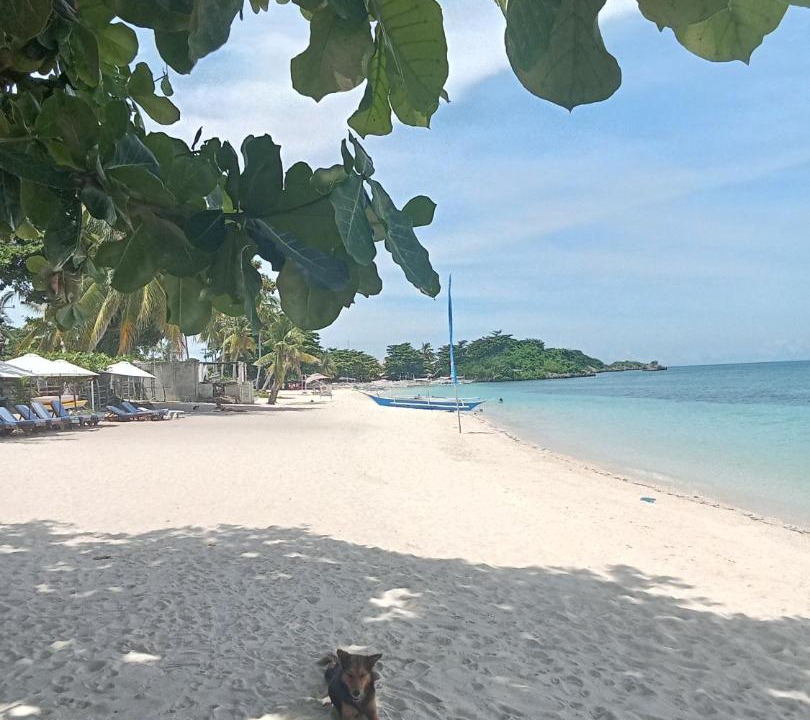 Photo of Others in Daanbantayan