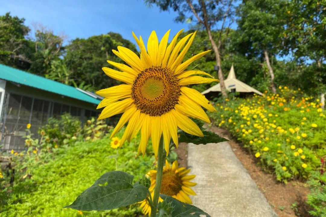 Photo of Outdoor in Tanay