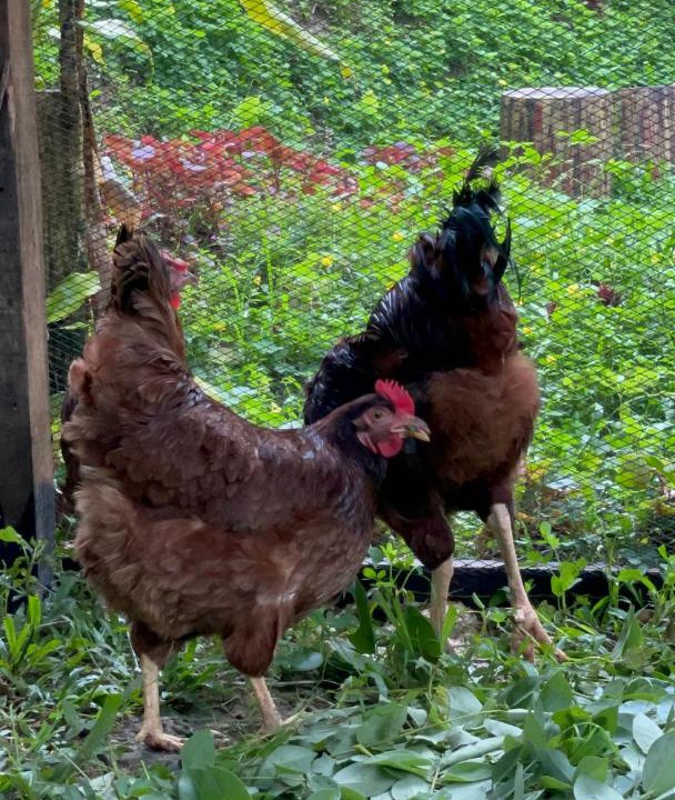 Photo of Others in Tanay