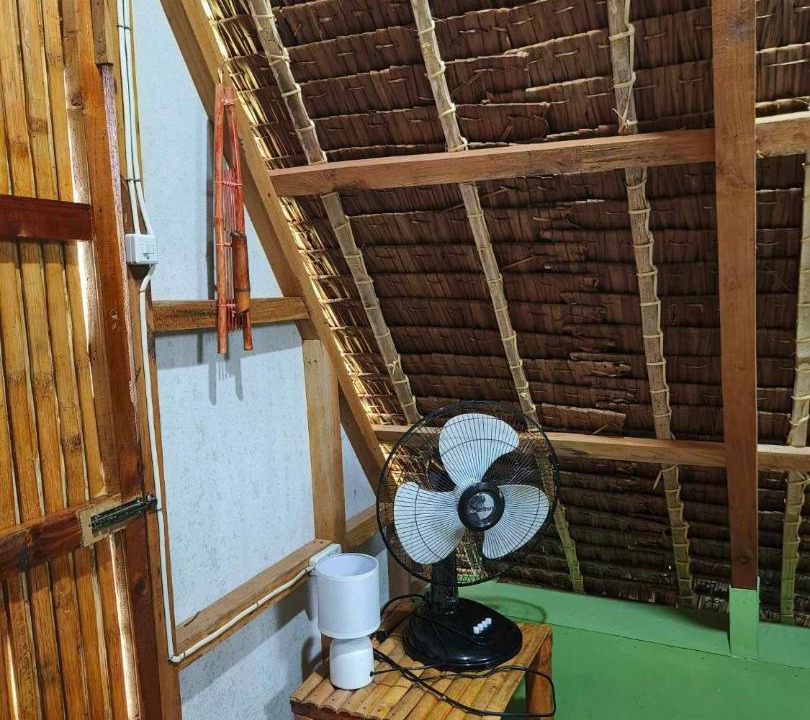 Photo of Others in Looc