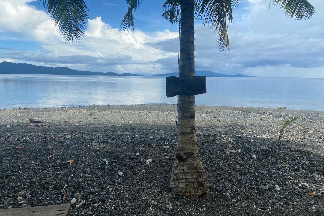 Photo of Others in Leyte Island