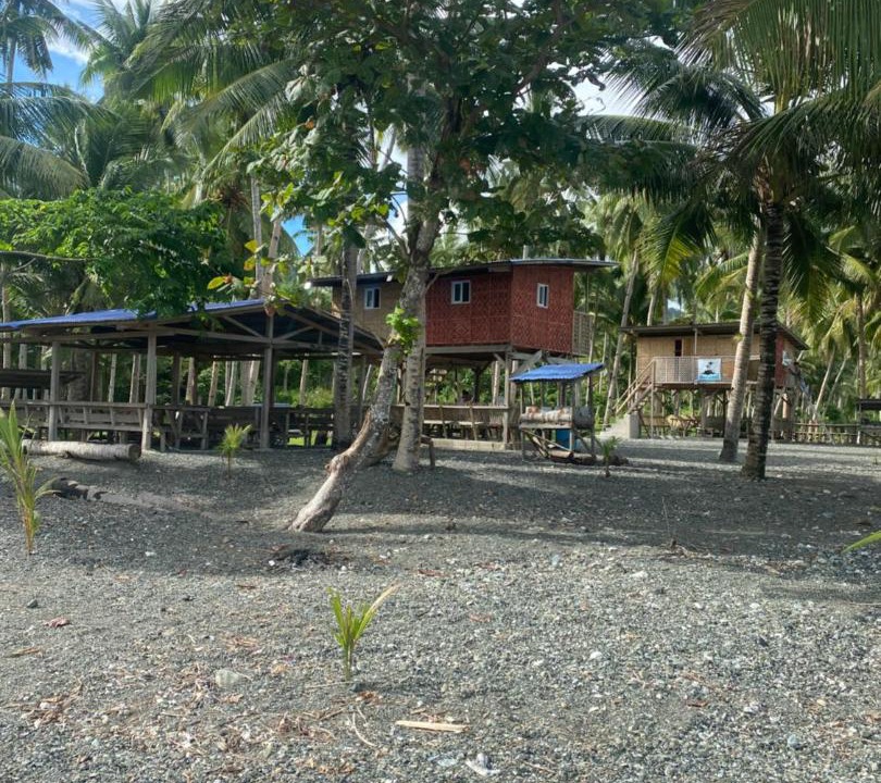 Photo of Others in Leyte Island