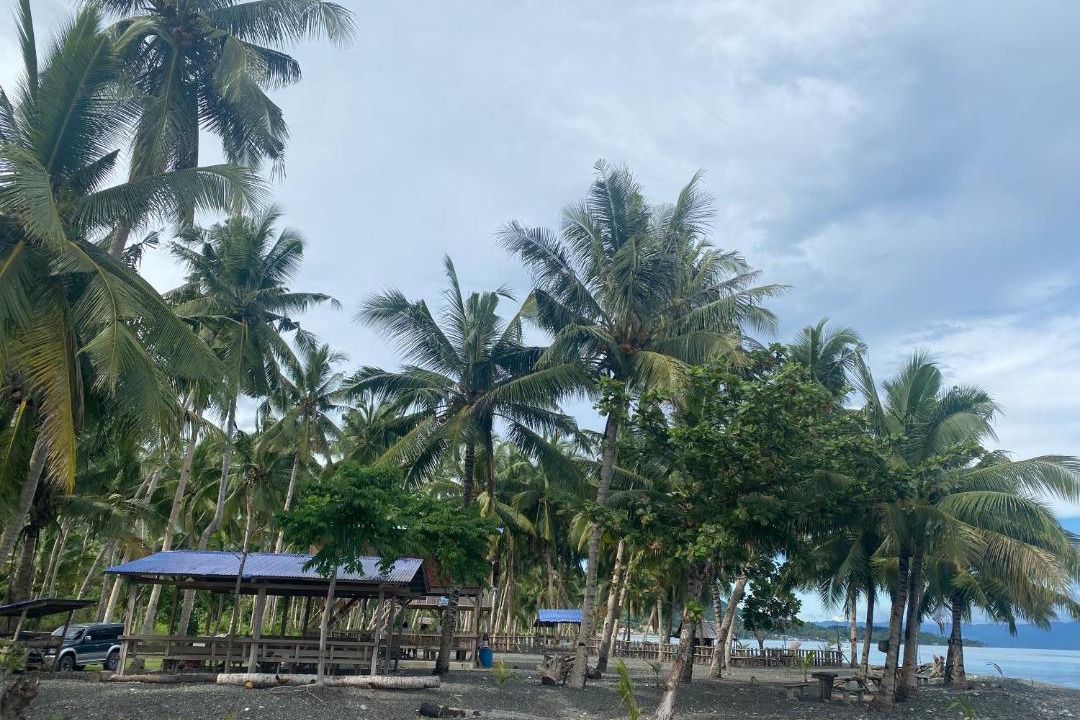 Photo of Others in Leyte Island