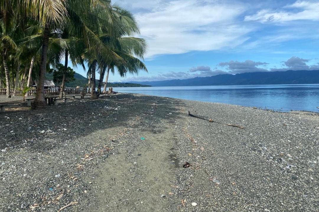Photo of Others in Leyte Island