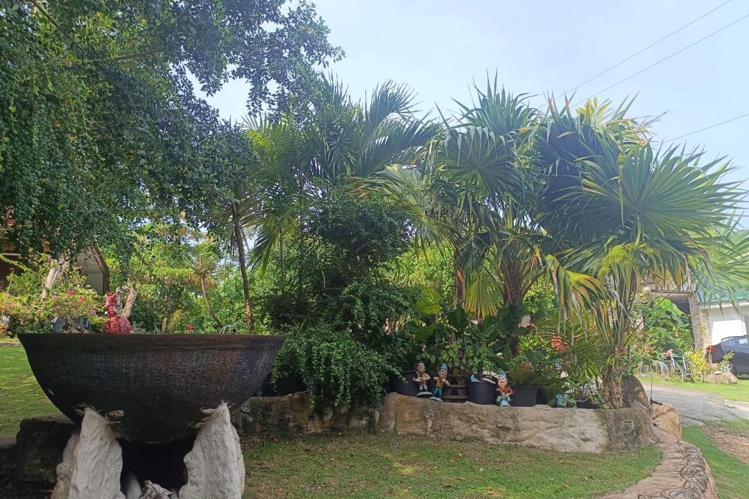 Photo of Others in San Juan