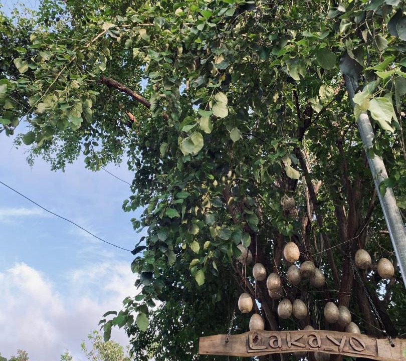 Photo of Outdoor in San Juan