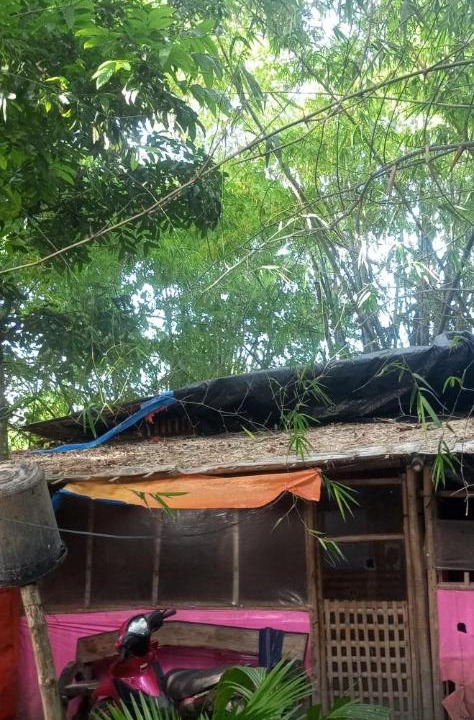 Photo of Others in Dumangas