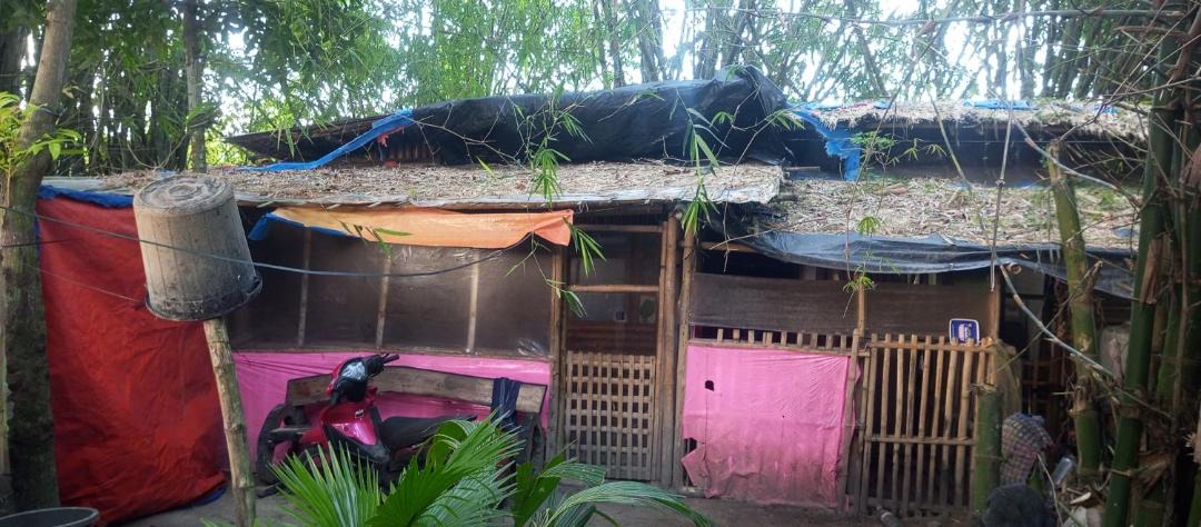 Photo of Others in Dumangas
