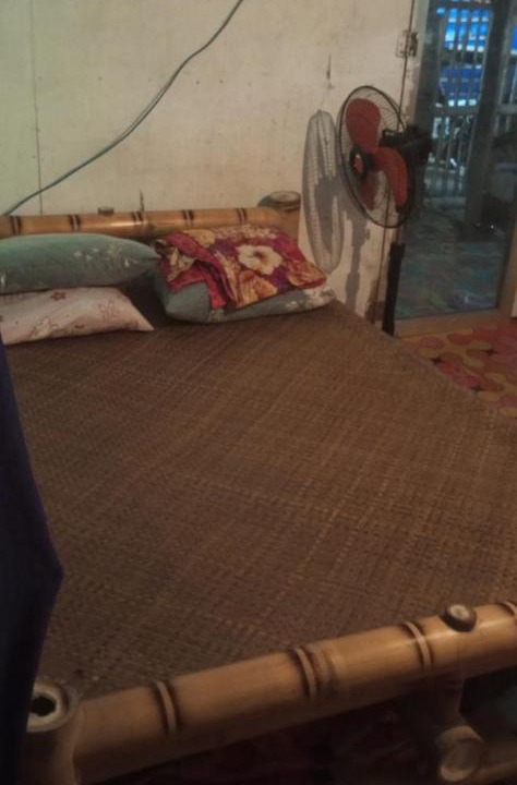 Photo of Others in Dumangas