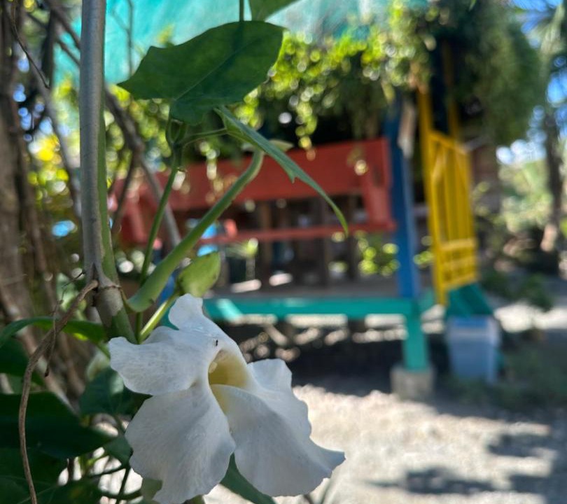 Photo of Outdoor in Baler