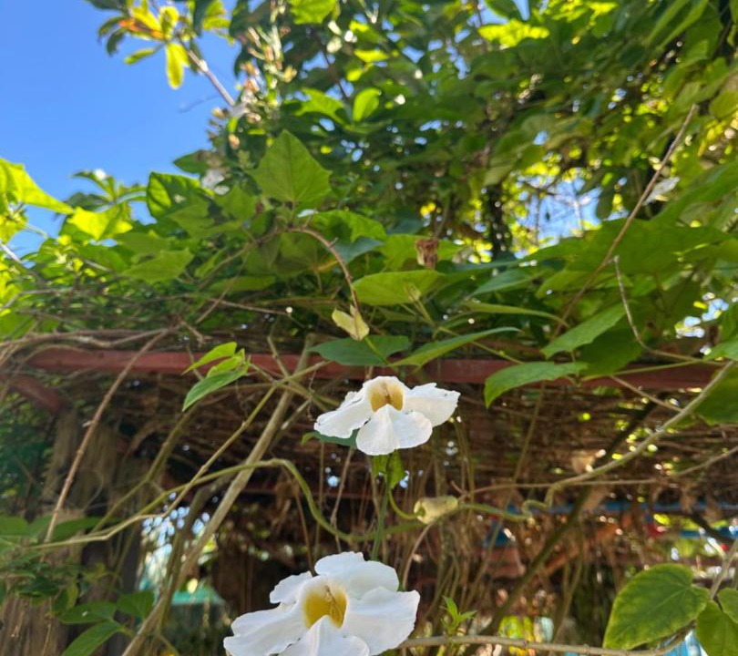 Photo of Outdoor in Baler
