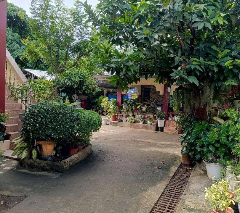 Photo of Outdoor in Tawala