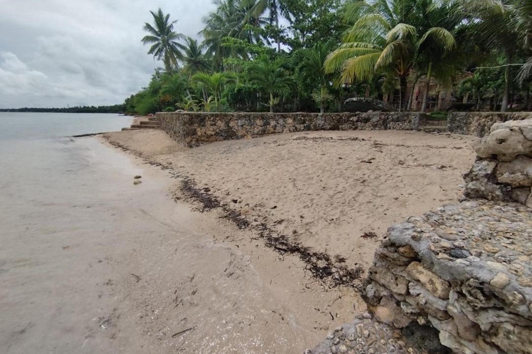 Photo of Others in Daanbantayan