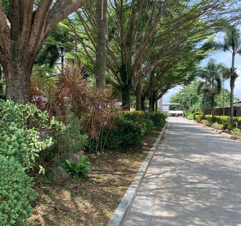 Photo of Outdoor in Talomo District