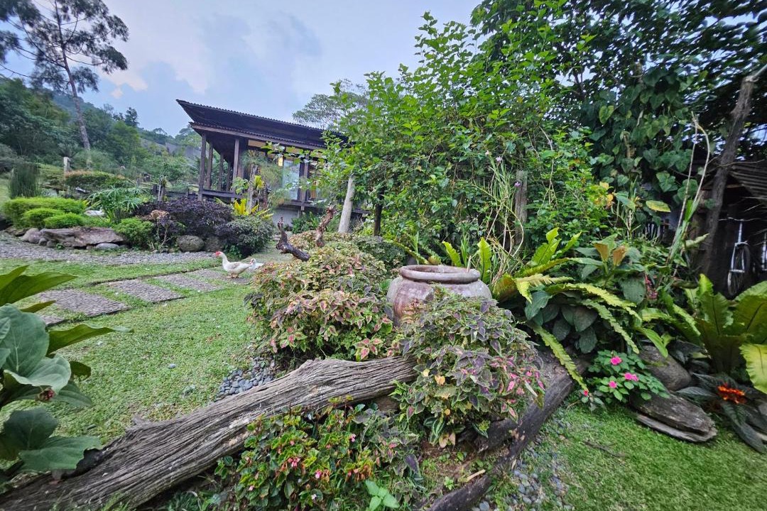 Photo of Outdoor in Santa Maria