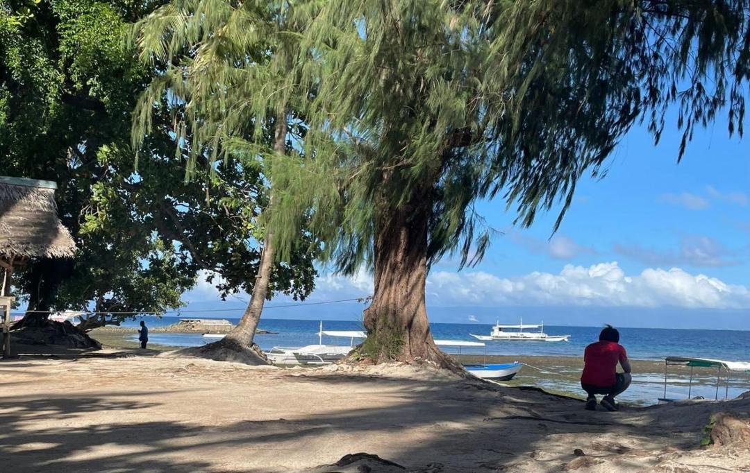Photo of Others in Looc