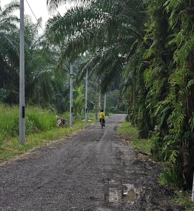 Photo of Others in Banting