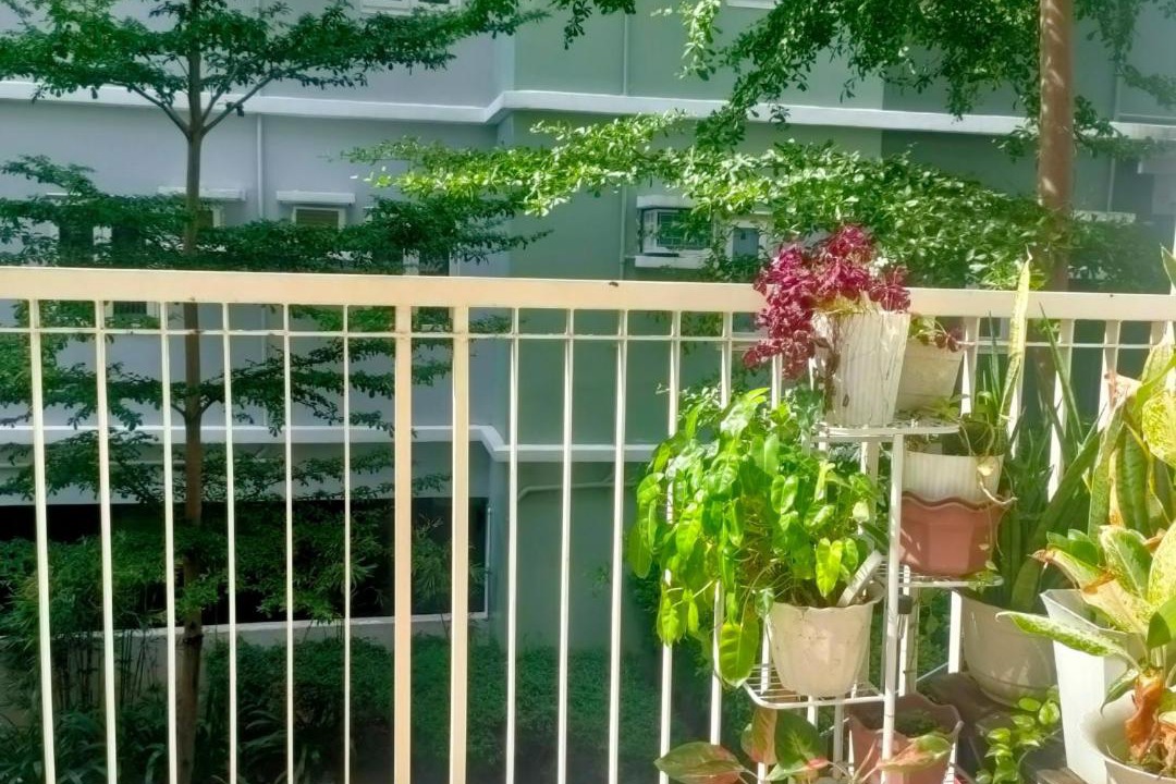 Photo of Patio Balcony in CSJDM