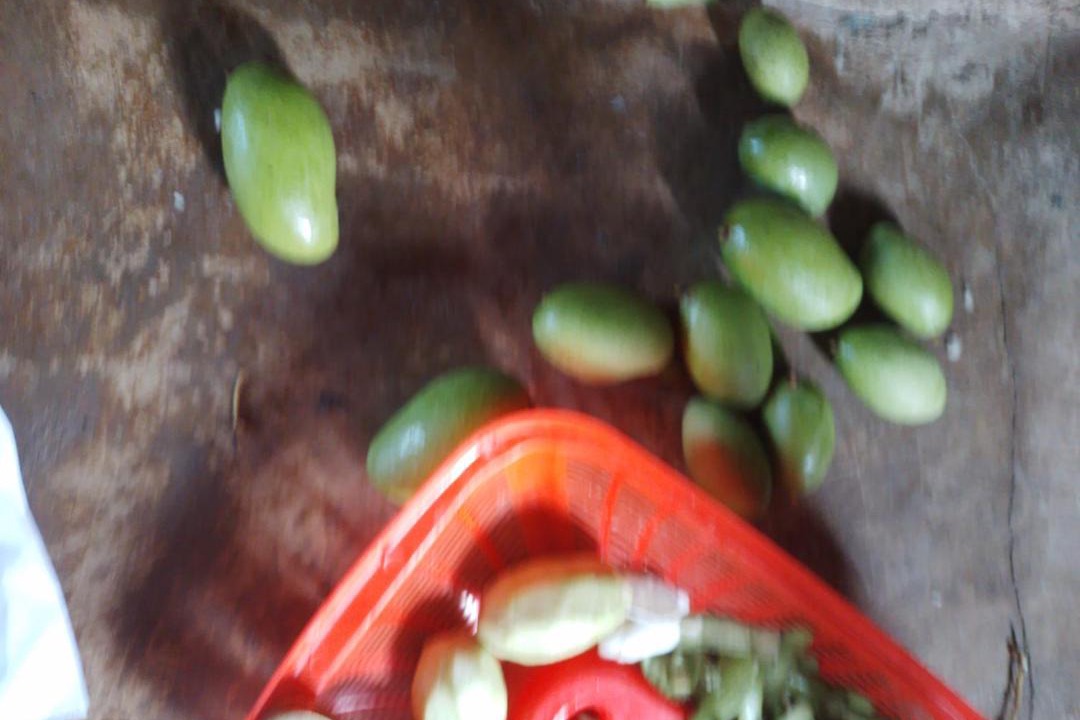 Photo of Others in Parang